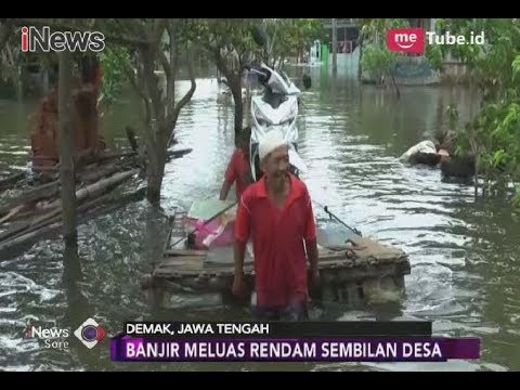 Tingginya Curah Hujan Sebabkan Banjir Makin Meluas ke 9 Desa di Demak  – iNews Sore 16/02