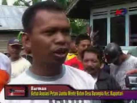 Berita KTV_Asosiasi Jambu Mente Desa Barangka.wmv
