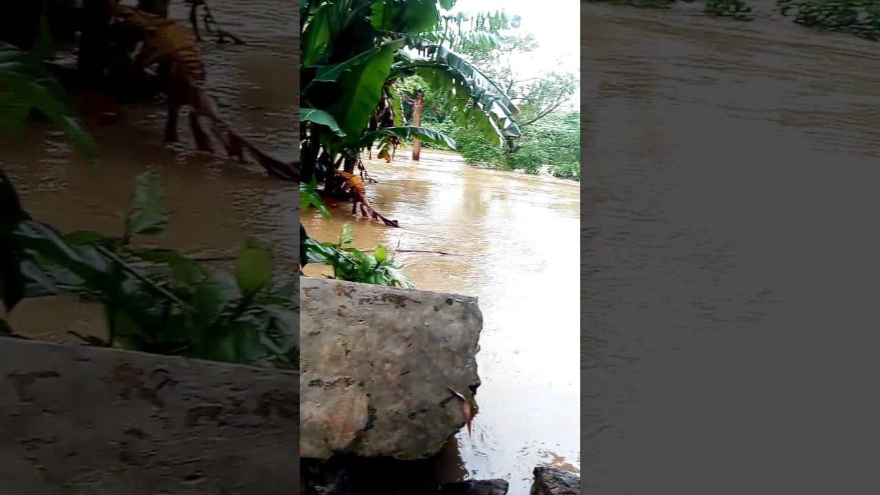 Berita siaga banjir di desa pasir ampo.Kc.kresek(2)