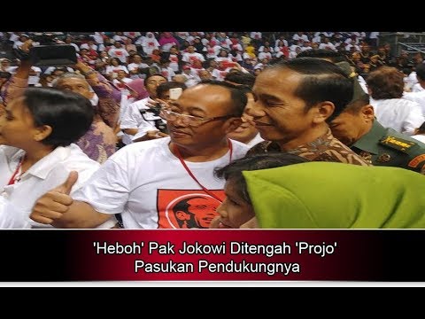 ‘Heboh’ Pak Jokowi Ditengah ‘Projo’ Pasukan Pendukungnya – Berita Terbaru Hari Ini
