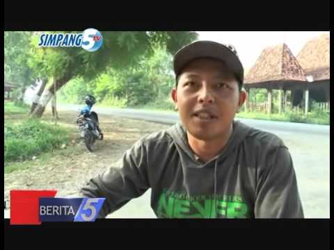 ULAT BULU—BERITA 5 SIMPANG 5 TV—TGL 2