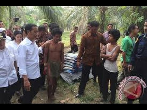Berita 30 Oktober 2015 – VIDEO Jokowi Kunjungi Suku Anak Dalam di Jambi