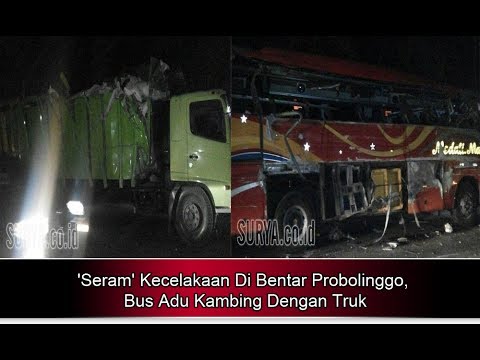 ‘Seram’ Kecelakaan Di Bentar Probolinggo, Bus Adu Kambing Dengan Truk – Berita Terbaru Hari Ini
