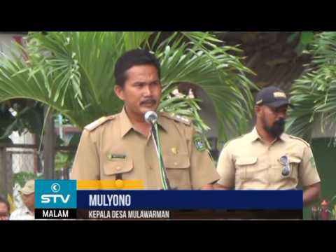 BERITA STV – DESA MULAWARMAN DIKEPUNG TAMBANG