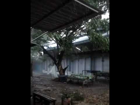 HUJAN ANGIN ( BERITA T.K.P / cak kinco) ANGIN MUTER TERJADI DESA PETIKEN kcm DRIYOREJO GRESIK