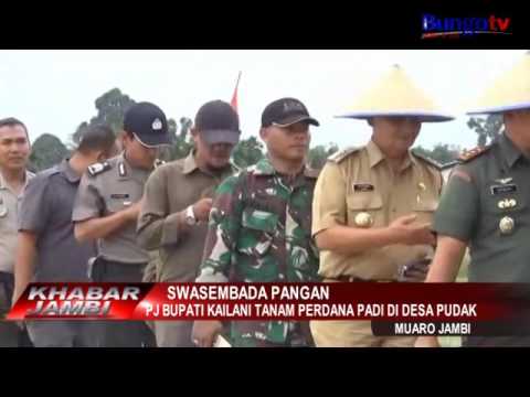 BERITA KHABAR JAMBI – PJ BUPATI KAILANI TANAM PERDANA PADI DI DESA PUDAK