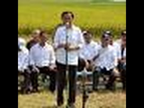 Berita 28 September 2015 VIDEO Jokowi Minta Dana Desa untuk Pembangunan Infrastruktur