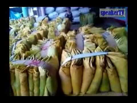 Berita Speaker TV, Produksi Tembakau Rajang Lombok Timur