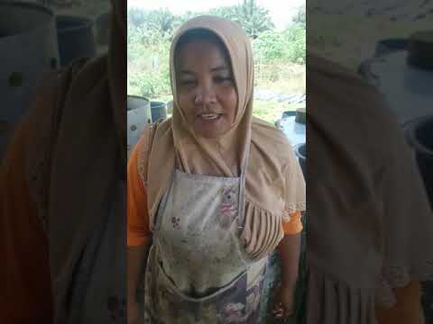 Deklarasi Anti Berita Hoax Dari Warga Desa Dalil