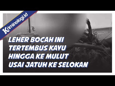 Berita terbaru: Video Bocah jatuh di selokan, lehernya tertusuk kayu hingga tembus ke mulut