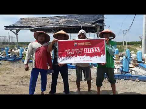 Petani Tambak Desa Surodadi Sayung Demak menolak berita Hoax