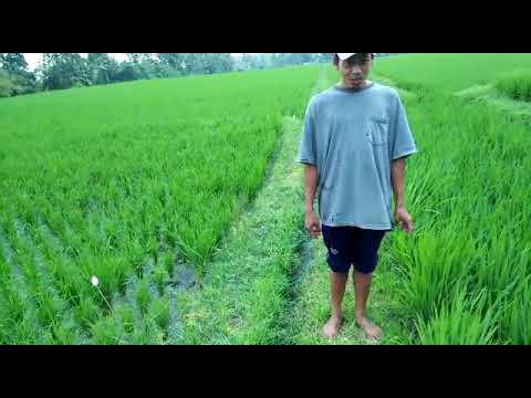 Warga desa marga tolak berita hoax