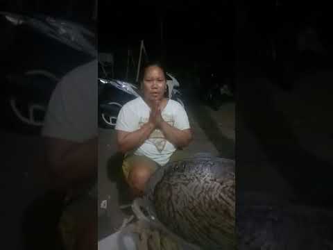 PENGUSAHA DODOL DI DESA BUSUNGBIU MENOLAK BERITA HOAX