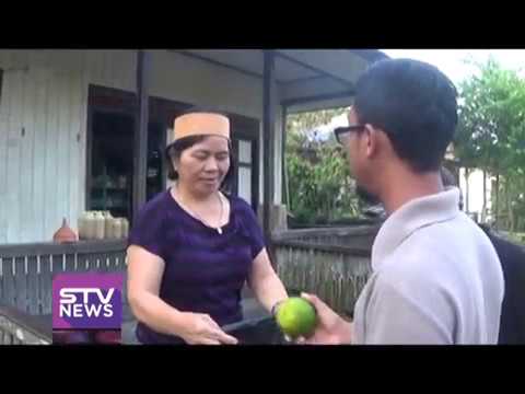 Berita STV – Gaji RT Bukan Dari Anggaran Dana Desa (Kutim)