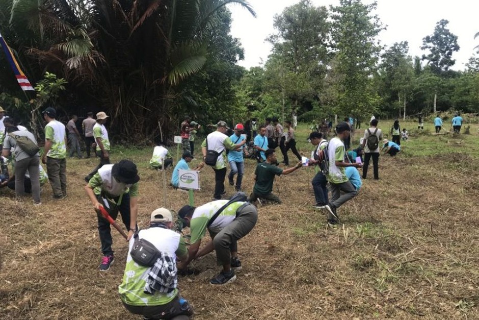 KLHK Tanam Pohon di Maluku
