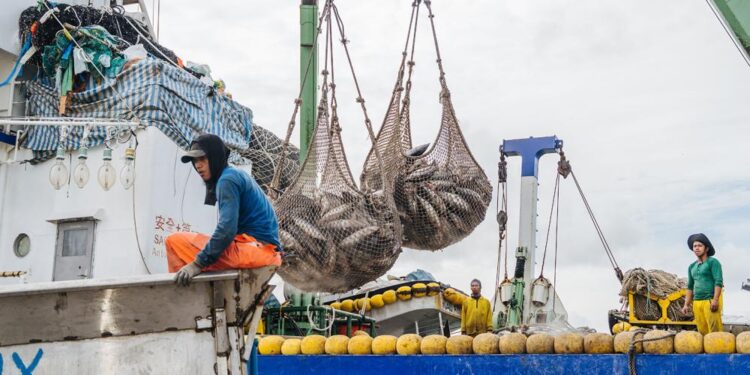 Kebijakan KKP Dinilai Tidak Peka, ABPEDNAS dan HNSI Angkat Suara