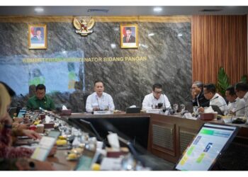 Ada 92 Percontohan Kopdes Merah Putih di 38 Provinsi, Wamenkop: Launching 19 Juli di Klaten