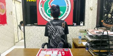 Dari