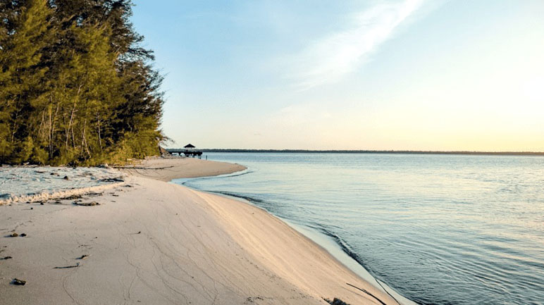 Tanjung 
